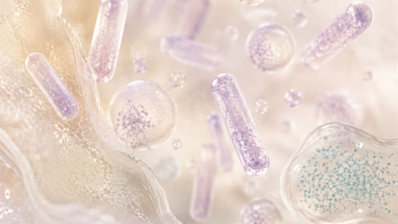 Editorial illustration of colony forming units on a petri dish